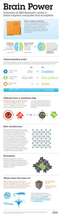 brain-inspired chip infographic