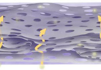 Close-up view of holey graphene framework film