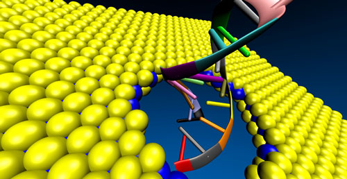 A DNA molecule passes through a nanopore in a sheet of molybdenum disulfide