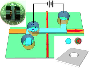 nanopore-gated optofluidic chip