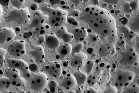 scanning electron micrograph of a porous, nanostructured poly(lactic-co-glycolic acid) (PLGA) membrane