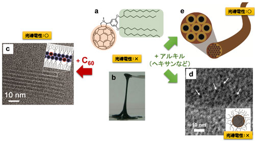 Typical examples of self-assembly and photoconductivity control of liquid alkyl-π-conjugated molecules