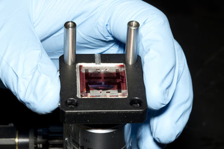 Close-up of organic photovoltaic sample