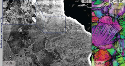 back-scattered electron images