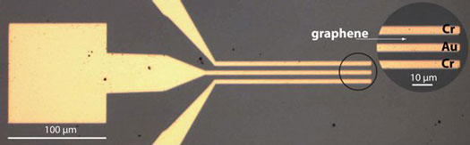 Top-down view of broadband, ultra-fast graphene detector