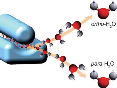 separating the nuclear spin states of water