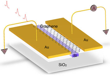 Schematic of a waveguide-integrated photodetector comprised of graphene