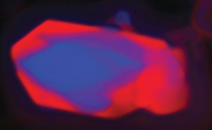 >Ptychographic image using soft X-rays of lithium iron phosphate nanocrystal after partial dilithiation