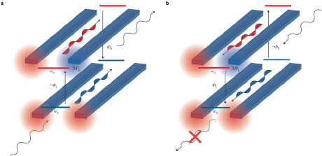 An illustration of the nonreciprocity of the dynamics of light propagating in the forward (a) and the backward (b) direction