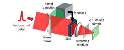 experimental setup in which incredibly brief laser pulses are monitored and refocused by a Spatial Light Modulator
