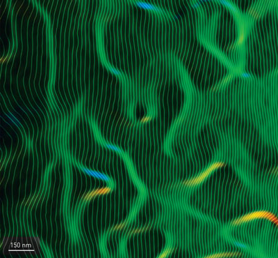 >An electron holography image of an iron–aluminum alloy containing two-dimensional zones of atomic disorder