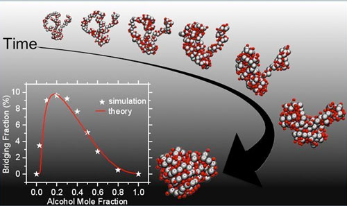 Polymer collapse dynamics