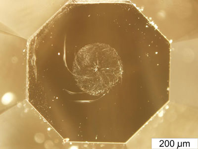 Diamond anvils malformed during synthesis of ultrahard fullerite