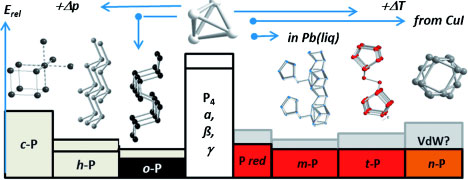 Computation of the stabilities and crystal structures of known and new phosphorus allotropes made of nanotubes