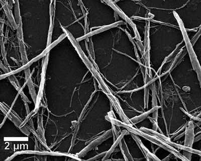 scanning electron microscope image of a closeup of a nanoribbon network