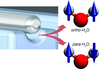 separating the nuclear spin states of water