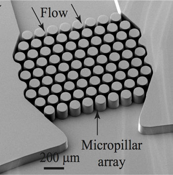 microposts interspersed through the channel in a microfluidic platform