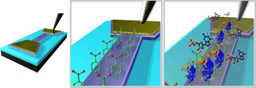Graphene Biosensor