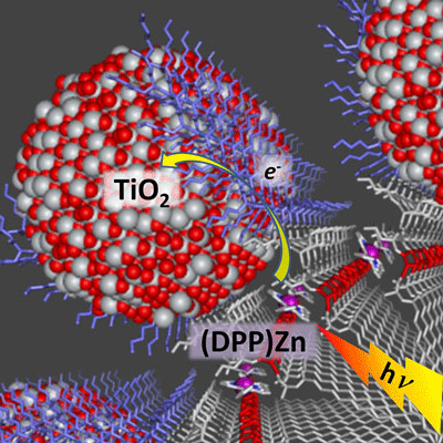 Interface details for a self-assembled peptide/Zn-porphyrin/TiO2 array