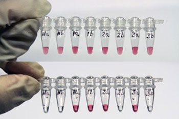 gold nanoprobe tests