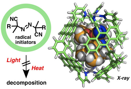 Photo and thermal stabilization of radical initiators within a molecular capsule