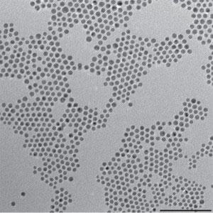 gold–copper bimetallic nanoparticles