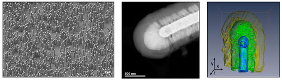nanowire lithium-ion batteries 	STEM image of an individual battery
