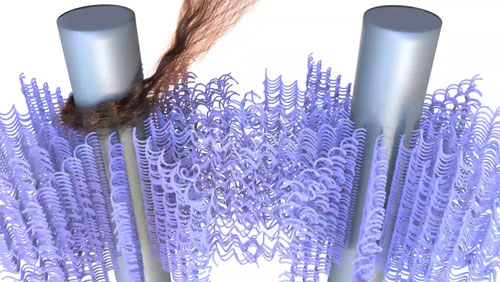 Discrete elastic rods, used for hair simulation