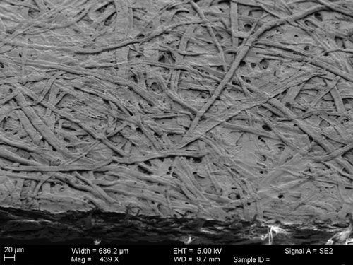 Scanning electron microscope image of gold/germanium-coated paper