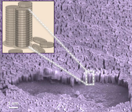 Vertical Nanopillars Stack on Graphene like Coins