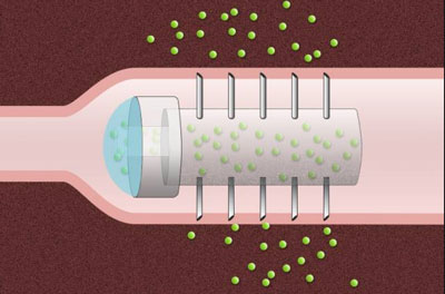 schematic drawing of a microneedle pill with hollow needles