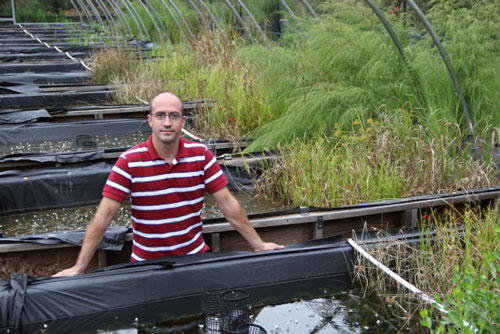 Nanotechnology researcher Lee Ferguson stands amid a collection of simulated wetlands called mescosms