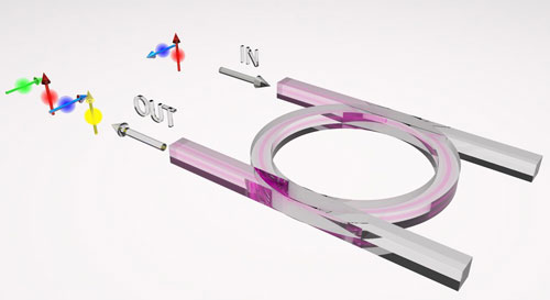 Cross-Polarized Pump Photons