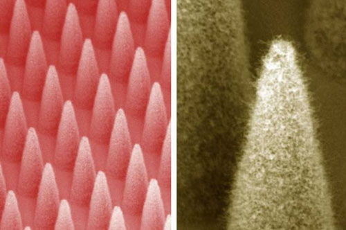 electrospray emitters covered by a forest of carbon nanotubes