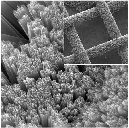 nanorods of titanium dioxid