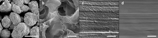 Changes in Polyethylene Surface Morphology