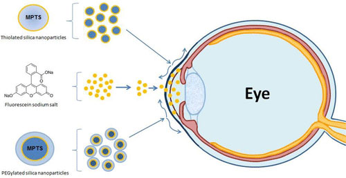 nanoparticle eye drops