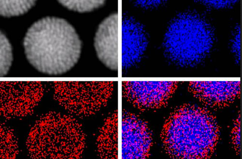magnetic nanoparticles