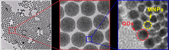 TEM images at increasing resolution show the structure of the core-shell supernanoparticles