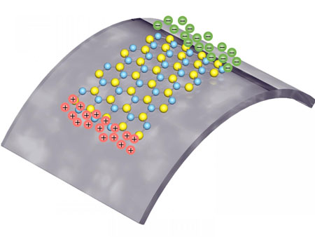 Positive and Negative Polarized Charges Squeezed from MoS2