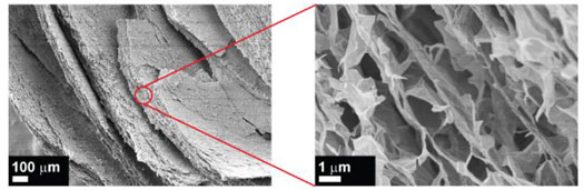porous graphene-based structure