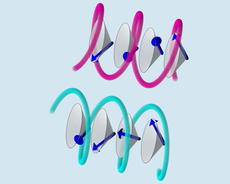 ultiferroics have a screw spin structure