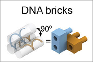DNA bricks