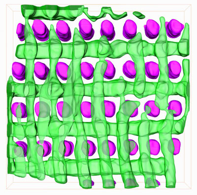 3-D Visualization of Templated Block Copolymer