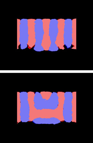 Computer Simulations of 2 Possible Morphologies of a block copolymer film