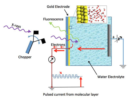 Schematic of a electrochemical cell