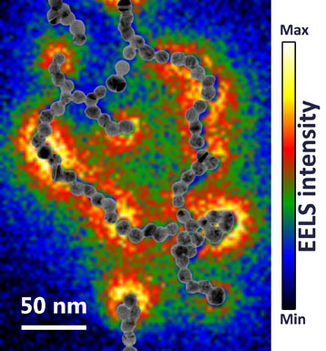 EELS image showing the spatial distribution of electrons confined along a chain of gold nanoparticles