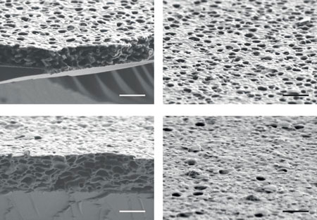 changing membrane pore size by oxidation and reduction