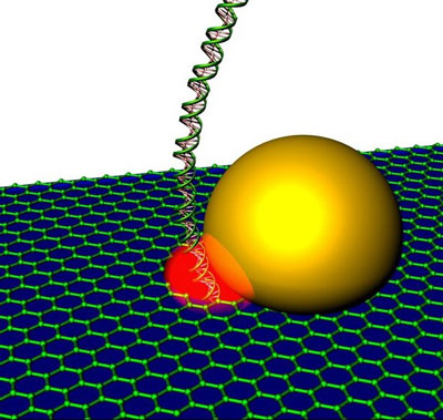 graphene nanopore with self-integrated optical antenna