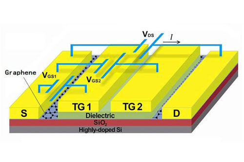The graphene layer has two gates to create local changes in charge carrier